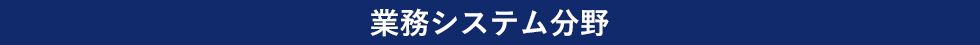 業務システム分野